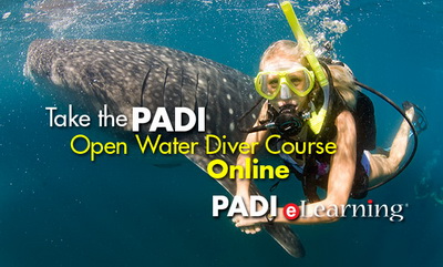 PADI online dive courses in the Philippiens